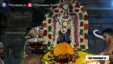 Photo of Thiruvaiyaru Sri  Panchanatheeswarar Temple Aadippooram Peruvizhla  Day-7 Simma Vahanam