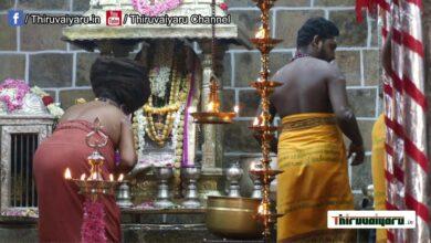 Photo of 🔴 Live – Sri Sokkanathar Poojai @ Thirupanandhal Sri Arunajadeswarar Temple | Thiruvaiyaru
