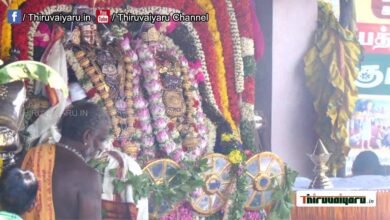 Photo of 🔴 Live – Aadi Ammavaasaiyil Theerthavaari| Thiruvaiyaru