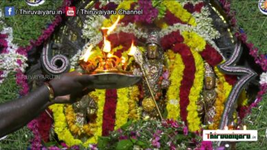 Photo of 🔴 Live – Vaitheeswaran Kovil Aadi Kiruthigai | Thiruvaiyaru