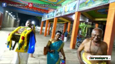 Photo of 🔴 Live – Yaanai Meedhu Alangarikkapatta Thirumurai Thiruveethi ulla | Thiruvaiyaru