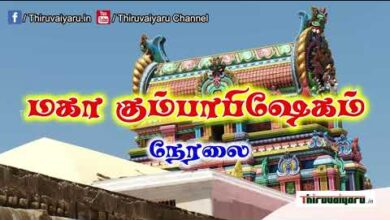 Photo of Korkai Sri Veeratteswarar Temple Maha Kumbabishekam – Live Webcast Trailer | Tommorow | 09.00 AM
