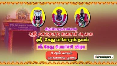 Photo of Keezhaperumpallam Sri Naganathaswamy Temple Kethu Peyarchi 2023 | Thiruvaiyaru