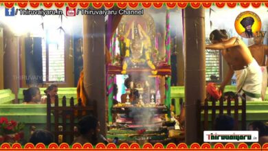 Photo of 🔴 Live – Dharmapuram Sri Ashtadasapuja Sri Mahalakshmi Durga Navarathri Peruvizha | Thiruvaiyaru
