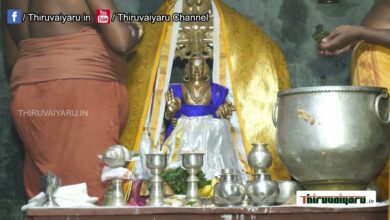 Photo of Dharumai Aadhinam Kamalai Sri Gnanaprakasa Desiga Paramachariya Swamigal Maha Guru Poojai