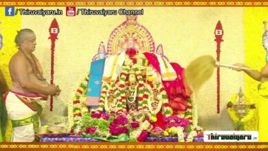 Photo of 🔴 Live – Pazhamudhir Solai Alagarmalai Murugan Swami Temple – Kanda Sasti Peruvizha Thirukkalyanam