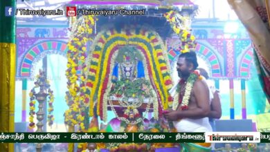 Photo of 🔴 Live – Thingalur Sri Kailasanathar Temple Kumbabisheka Vizha – Kaalam 2 | Thiruvaiyaru
