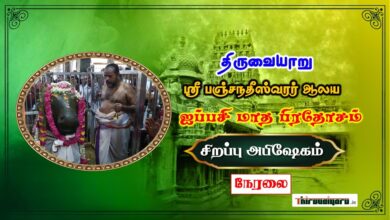 Photo of 🔴 Live – Thiruvaiyaru Sri Aiyarappar Temple Pradhosam – Sirappu Abishekam | Thiruvaiyaru