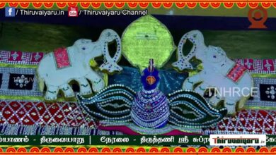 Photo of 🔴 Live – Tiruttani Sri Subramaniya Swamy Temple Kandha Sasti Vizha – Thirukalyanam | Thiruvaiyaru