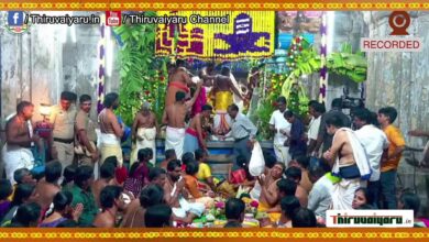 Photo of Tiruchendur Sri Subramaniya Swamy Temple Kandha Sasti Peruvizha – Thirukalyanam | Thiruvaiyaru