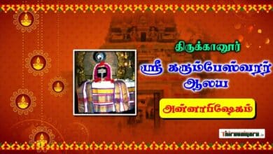 Photo of Thirukkanur Sri Karumbeswarar Temple Annabhishekam | Thiruvaiyaru
