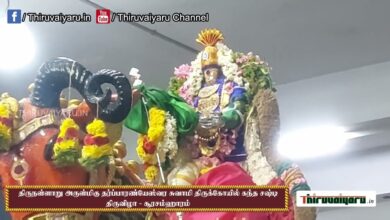 Photo of Thirunallar Kantha Shasti Thiruvizha Soorasaharam| Thiruvaiyaru