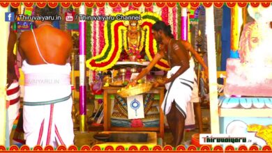 Photo of 🔴 Live – Thirubhuvanam Sri Kambahareswarar Temple Maha Kumbabhishegam | Kaalam 3 | Thiruvaiyaru