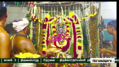 Photo of 🔴 Live – Thirukattupalli Sri Agneeswarar Temple Maha Kumbabhishegam | Kaalam 3 | Thiruvaiyaru