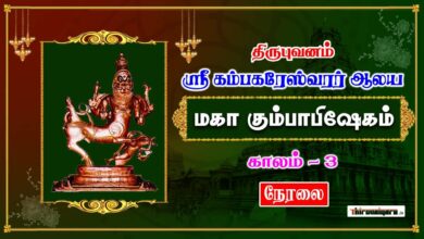 Photo of 🔴 Live – Thirubhuvanam Sri Kambahareswarar Temple Maha Kumbabhishegam | Kaalam 3 | Thiruvaiyaru