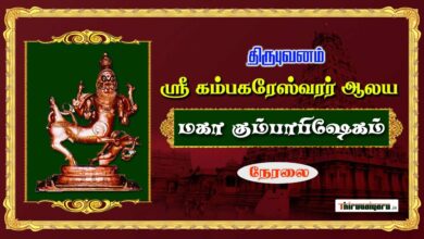Photo of 🔴 Live – Thirubhuvanam Sri Kambahareswarar Temple Maha Kumbabhishegam | Kaalam 8 | Thiruvaiyaru