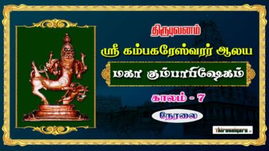 Photo of 🔴 Live – Thirubhuvanam Sri Kambahareswarar Temple Maha Kumbabhishegam | Kaalam 7 | Thiruvaiyaru