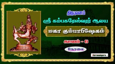 Photo of 🔴 Live – Thirubhuvanam Sri Kambahareswarar Temple Maha Kumbabhishegam | Kaalam 6 | Thiruvaiyaru