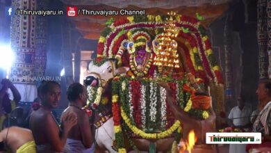 Photo of Thiruvaiyaru Sri Aiyarappar Temple Samvathsarabishekam |Maha Ruthra Homam | Part-2 | Thiruvaiyaru