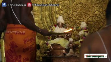 Photo of Thiruvaiyaru Sri Aiyarappar Temple Samvathsarabishekam |Sirappu Abishegam |Part -4 Thiruvaiyaru