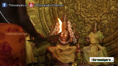 Photo of Thiruvaiyaru Sri Aiyarappar Temple Samvathsarabishekam |Sirappu Abishegam |Part -3 Thiruvaiyaru
