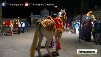 Photo of Thiruvaiyaru Sri Aiyarappar Temple Samvathsarabishekam |Swamy Purappadu | Thiruvaiyaru