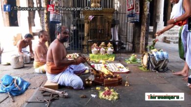 Photo of Thiruvaiyaru Sri Panchanatheeswarar Temple Thiruppani Thuvakka Vizha  Part-2