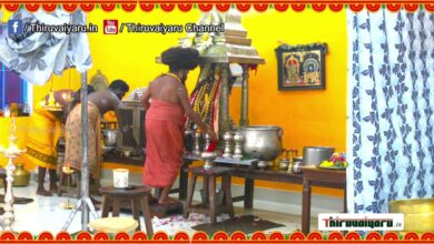 Photo of 🔴 Live – Varanasi (Kasi Mutt) Maha Shivratri Shri Sokkanathar Pooja | Thiruvaiyaru