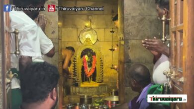 Photo of 🔴 Live – Arasur Sri Balathandayuthapani Temple Panguni Maatha – Paal Kuda Thiruvizha | Thiruvaiyaru