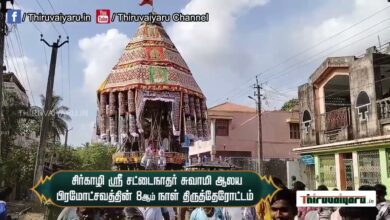 Photo of Sirkazhi Sri Sattainathar Temple Pramochavathin 8th day Thirutherottam | Thiruvaiyaru