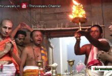 Photo of Thiruvaiyaru Sri Ayyarappar Temple Chittirai Thiruvizha |Bootha Vahanaththil Veethyula |Day-3