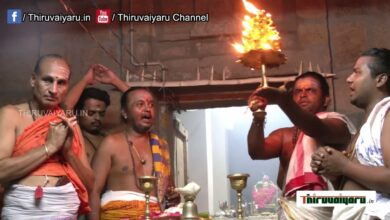 Photo of Thiruvaiyaru Sri Ayyarappar Temple Chittirai Thiruvizha |Bootha Vahanaththil Veethyula |Day-3
