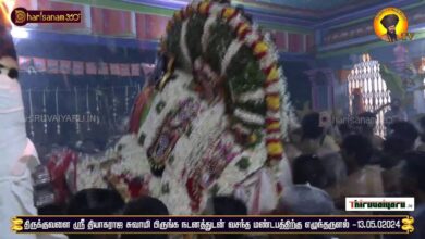 Photo of 🔴 Live – Thirukkuvalai Sri Thiyagaraja Swamy Temple Vasanthan Thiruvizha | Thiruvaiyaru