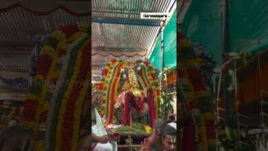 Photo of கும்பகோணம் அக்ஷயதிரிதியை கருடசேவை 2024 #thiruvaiyaru #dharisanam360 #garuda #saranga #kudanthai