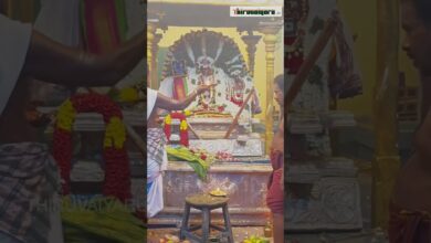 Photo of திருக்குவளை ஸ்ரீ தியாகராஜ சுவாமி பிருங்க நடனத்துடன் வசந்த மண்டபத்திற்கு எழுந்தருளல் #thiruvaiyaru