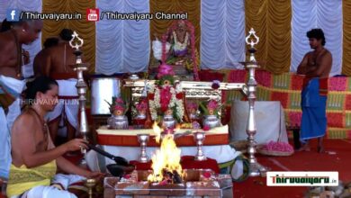 Photo of Thirubhuvanam Sri Sarabeshwarar Ekadina Urchavam 2024 | Part-1 Thiruvaiyaru