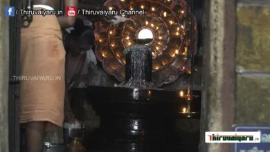 Photo of Thirukkanur Sri Karumbeswarar Temple Samvathsara Abishegam | Thiruvaiyaru-Part-2