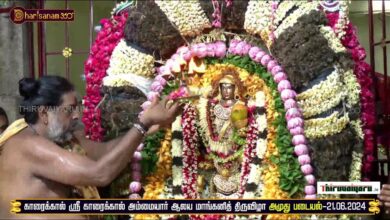 Photo of 🔴 Live – Karaikkal Sri Karaikkal Ammaiyar Temple Mangani Thiruvizha