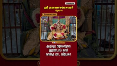 Photo of Thiruvannamalai Sri Arunachaleswarar Temple Aadipoora Veethiyuzhaa Day-2 | Thiruvaiyaru