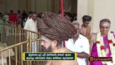 Photo of Thirukkadaiyur Sri Amirthakadeswarar Temple Sirappu Abhishekam |Thiruvaiyaru