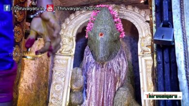 Photo of Thanjavur Sri Peruvudaiyar Temple Ashaada Navarathri Vizha – Day-8 | Thiruvaiyaru