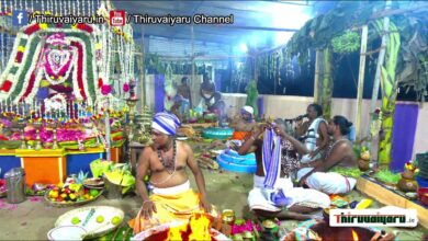 Photo of 🔴 Live – Budalur Pavanamangalam Sri Ponniamman Temple Maha Kumbabishekam – Kalam 2 | Thiruvaiyaru