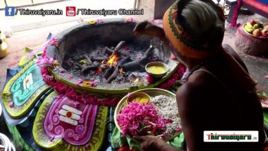 Photo of Thanjavur | Sri Peruvudaiyar Temple | Ashaada Navarathri Vizha | Day-11 | Thiruvaiyaru