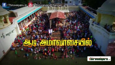 Photo of Thiruvaiyaru Appar Kailai Kaatchi Aadi Amavaasai 2024 – Live Webcast Trailer | 04.08.2024 | 05.00 PM