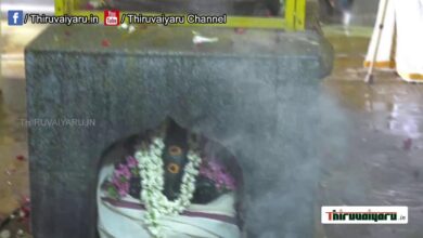 Photo of 🔴 Live – Karanthai Sri Karunasamy Alaya Kodiyetram | Thiruvaiyaru