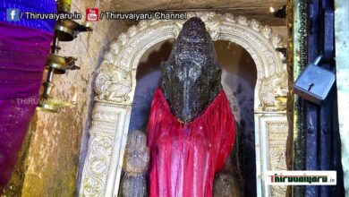 Photo of Thanjavur Sri Peruvudaiyar Temple Ashaada Navarathri Vizha – Day-5 | Thiruvaiyaru
