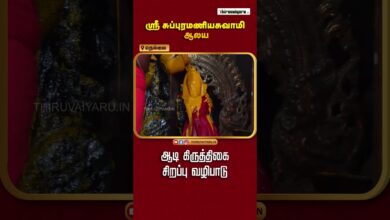 Photo of Nellai Sri Subramaniya Swamy Temple Aadi Sirappu Vazhipaadu | Thiruvaiyaru