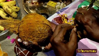 Photo of Thanjavur Keelzhavasal Sri Sengamala Nachchi Amman Temple Maha Kumbabishegam  | Thiruvaiyaru