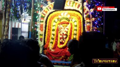 Photo of Vairavan Kovil Theipirai Ashtami | வைரவன் கோவில் தேய்பிறை அஷ்டமி | Thiruvaiyaru