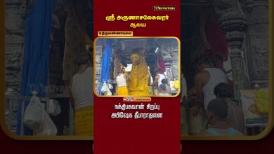 Photo of Sri Arunchaleshwarar Nandhi bhagavan Abhishekam TYR